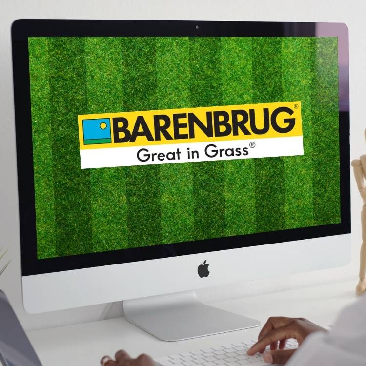trawa barenbrug - nasiona traw najwyższej jakości 