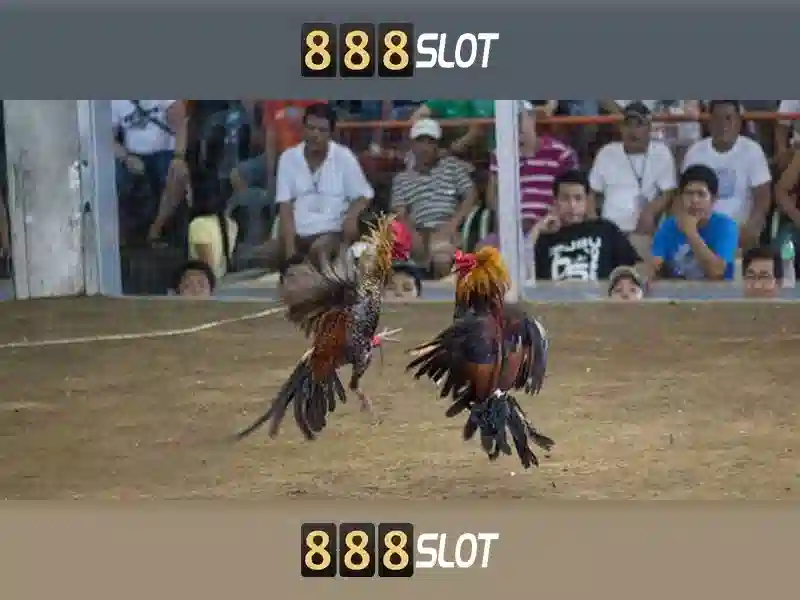 💎truc tiep keo nha cai xoilac💎