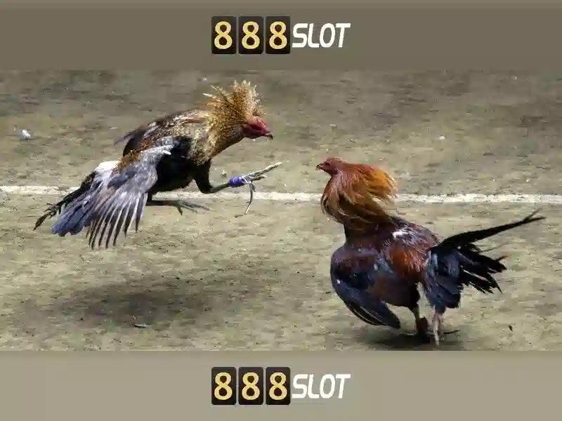 casino trực tuyến - 888slot