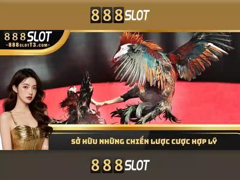  chính sách bảo mật - 888slot