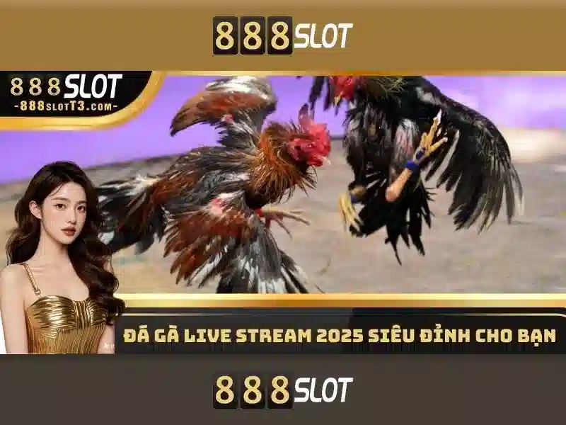 💎video slot machine💎