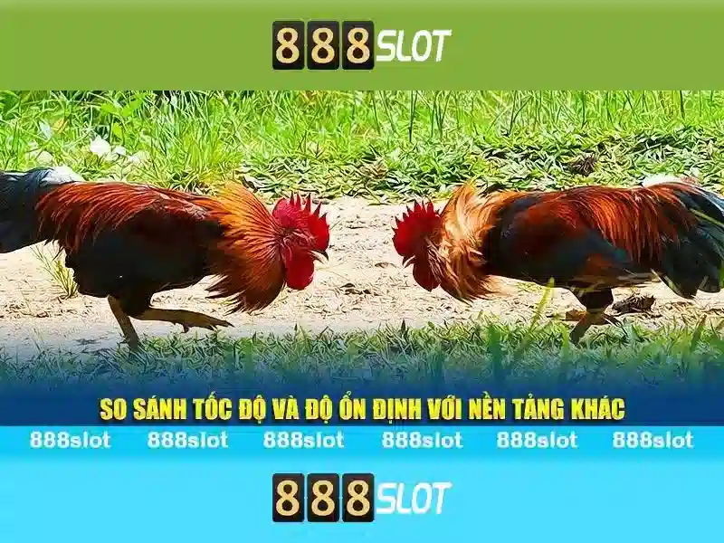 💎đông bắc hotel - trà cổ đánh giá💎
