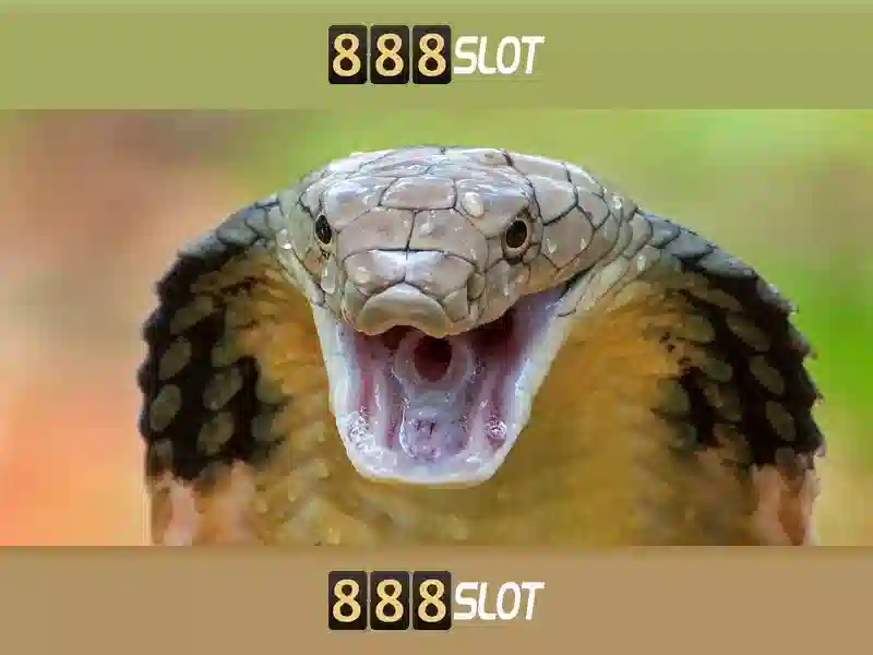 💎free ipad slots💎