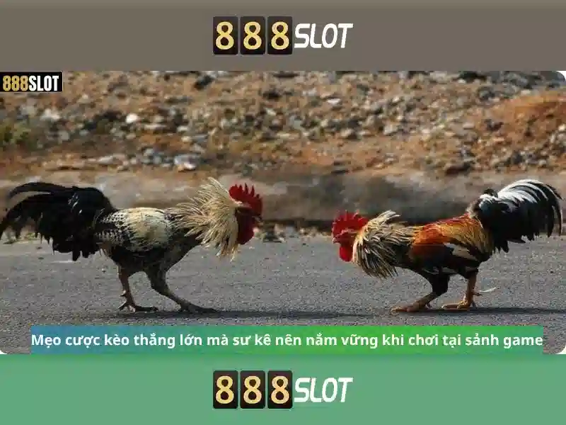💎cảm nhận về lối sống giản dị của bác hồ💎