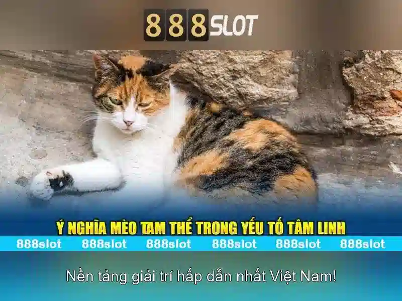 💎đá gà thomo cá cược💎