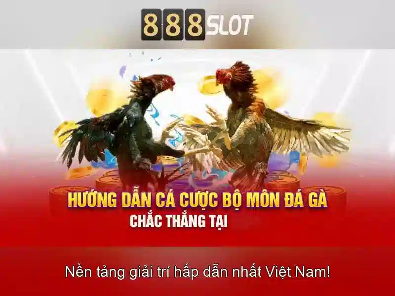 💎cá cược bóng đá ngày mai💎