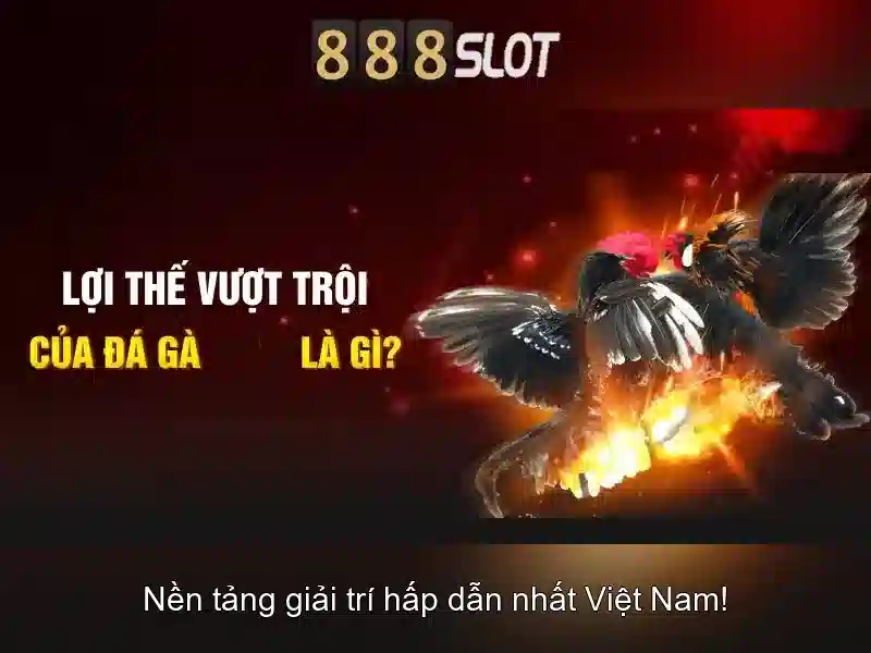 💎lính thuỷ đánh bạc💎