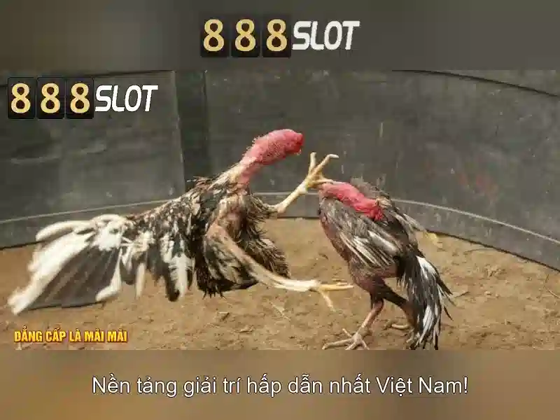 💎nhà cái uy tín ellen💎