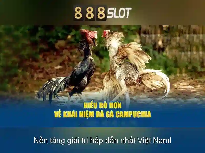 💎tỷ lệ cá cược chiều nay💎
